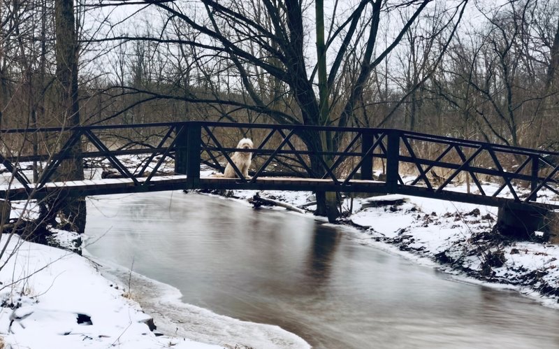 Over one of the bridges along the Creek Side Walk.