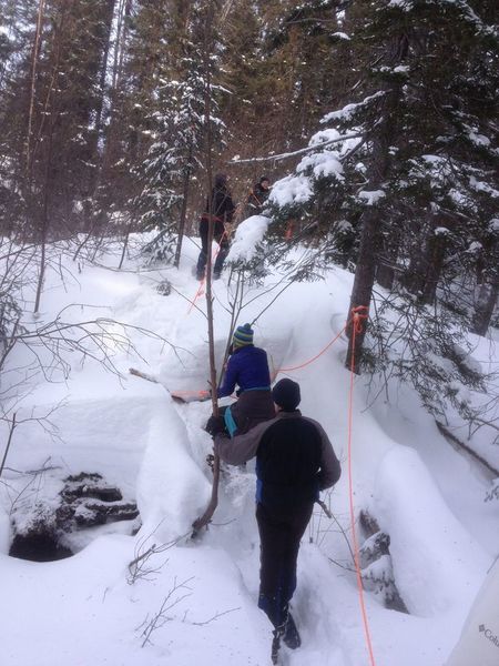 Crossing the ravine on Snowshoe Trail B1.