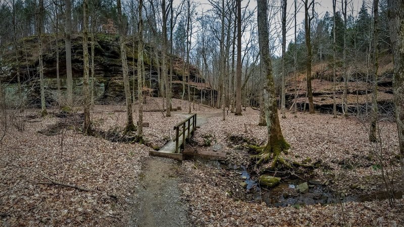 The trail 3-way coming from Pound Hollow.