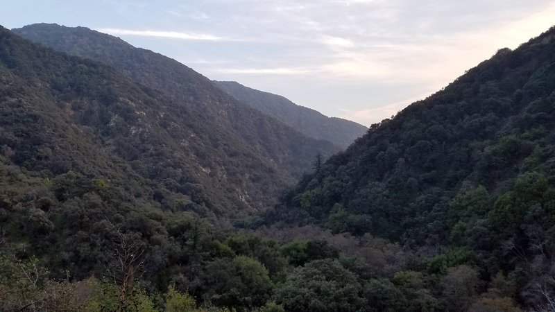 Looking into the valley with the creek.