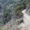 The beginning part of the singletrack.
