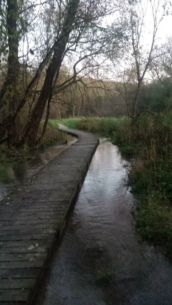 Indian Creek Boardwalk