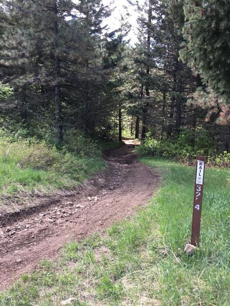This trail marker is on Government Mt Road at the northern end of the trail coming up from the North Fork of the Walla Walla River.  From here you need to hike along the road 1/4 to the next trail segment.