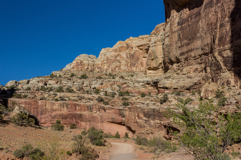 Capitol Gorge Road from the Capitol Gorge Trailhead. The trail to Golden Throne hugs the right side of the canyon and ascends steeply.