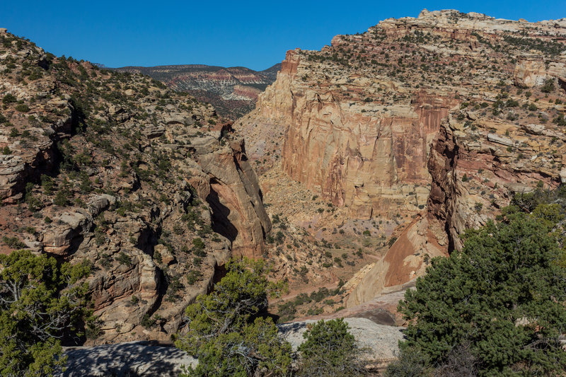 Capitol Gorge from the Golden Throne Trail