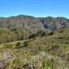 Farm on San Vicente Creek and Montara Mountain from the lower Spine Trail