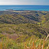 Spine Trail is on the ridge that goes from the left to the Eucalyptus trees in the center. Pillar Point and harbor in the distance and San Vicente Farms in the center