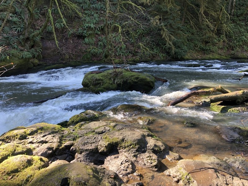 Lacamas Creek on the way to Lower Falls