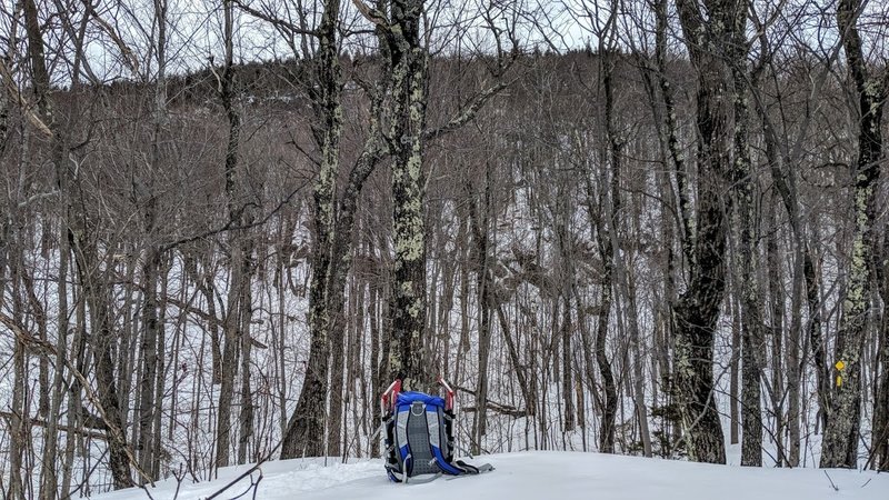 A lookout below the summit ledges of Mt. Percival