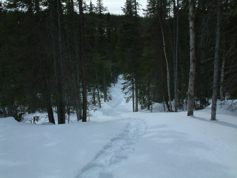 Past Colin's Hut, a good back country ski and snowshoe trail leads almost to Tilt Pond beyond the bog in front of and below the cabin.