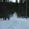 Past Colin's Hut, a good back country ski and snowshoe trail leads almost to Tilt Pond beyond the bog in front of and below the cabin.