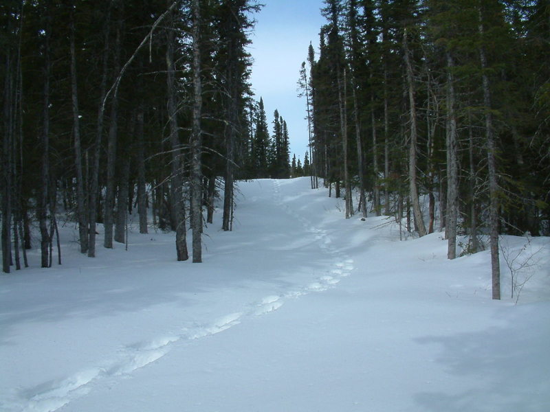 Backcountry ski and snowshoeing opportunities beyond Colin's Hut on Tilt Pond Trail