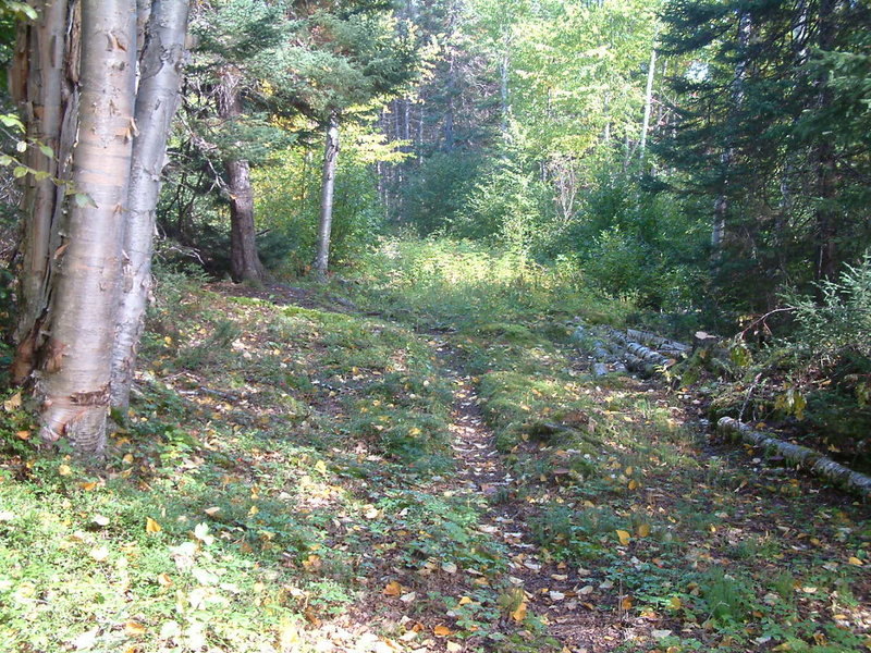 Chaulk's Connector in early autumn