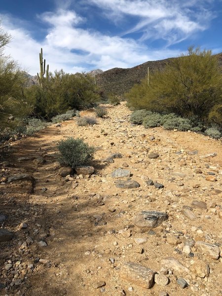 Rocky doubletrack north of Bear Creek