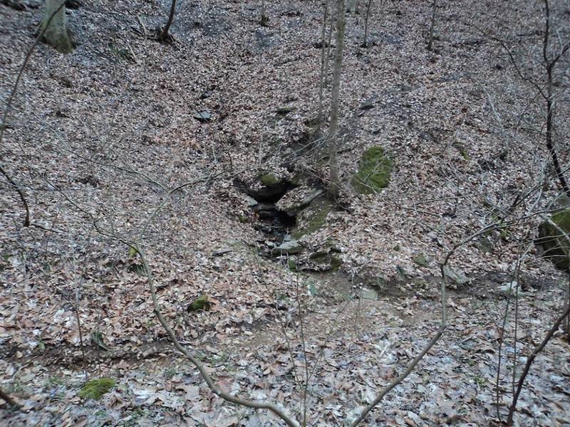 A burbling spring is a feature along the trail.