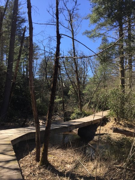 Bridge over swamp area