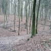 View of the mtb track in the gorge / Udsigt over mtb-sporet i Kløften