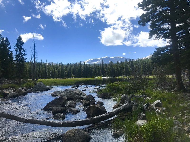 Took the wrong trail and ended up at this beauty! I now know it's South Clear Creek lol.