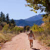 Open paths & fall colors