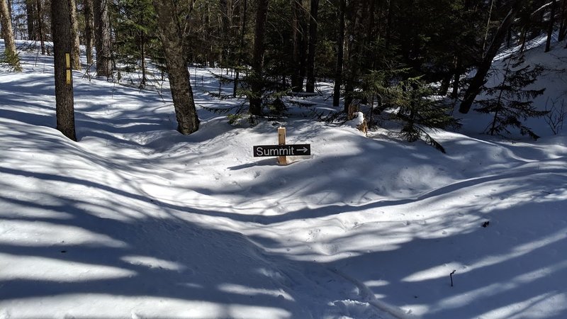 Plymouth Mountain. Trail Junction with deep snow pack. March 9, 2019