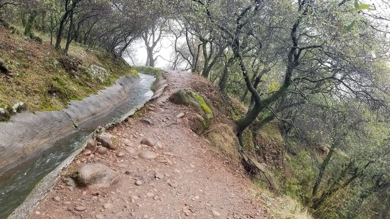 One of the more exposed sections of steep slopes below this otherwise mellow canal trail.