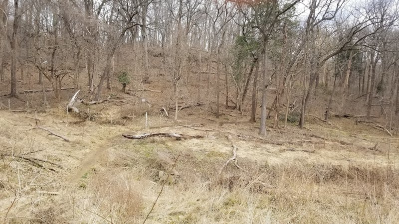 Whitehave Trail Entrance runs along stream draining into Rock Creek. Frequent use by NPS Mounted Corps.