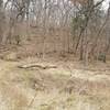 Whitehave Trail Entrance runs along stream draining into Rock Creek. Frequent use by NPS Mounted Corps.