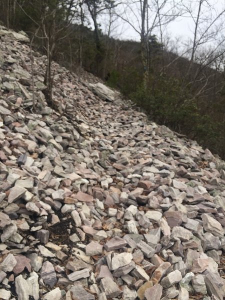 "Rock Forest" trail on Austin Ridge.