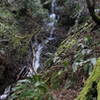 Stairstep Falls at the end of the trail.