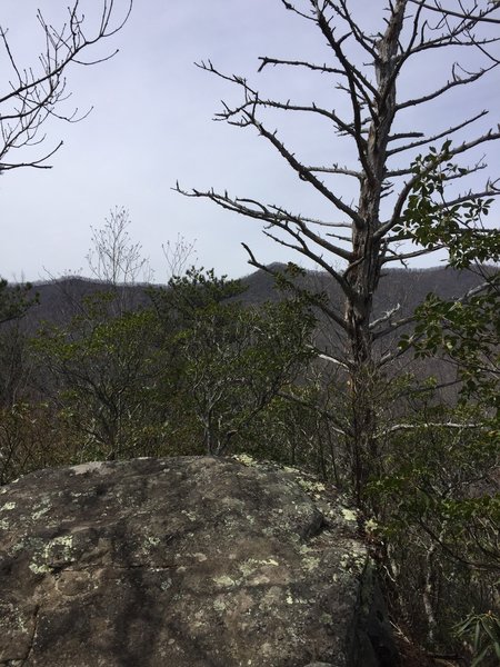 Rocky Head summit and intersection with East Ridge Trail.