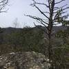 Rocky Head summit and intersection with East Ridge Trail.