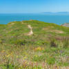 Sun, Flowers and sweeping views from along the ridge of San Pedro Mountain.