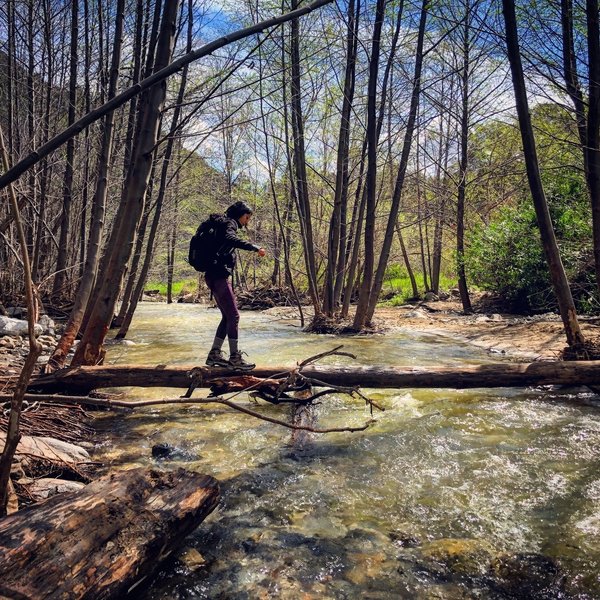 Arroyo Seco Hiking Trail, La Cañada Flintridge, California