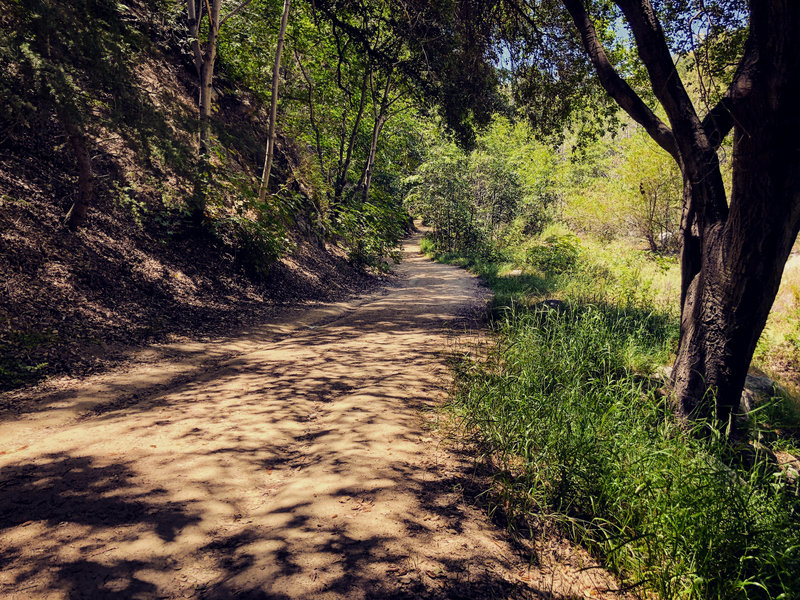 The last leg of the Chaney Trail.