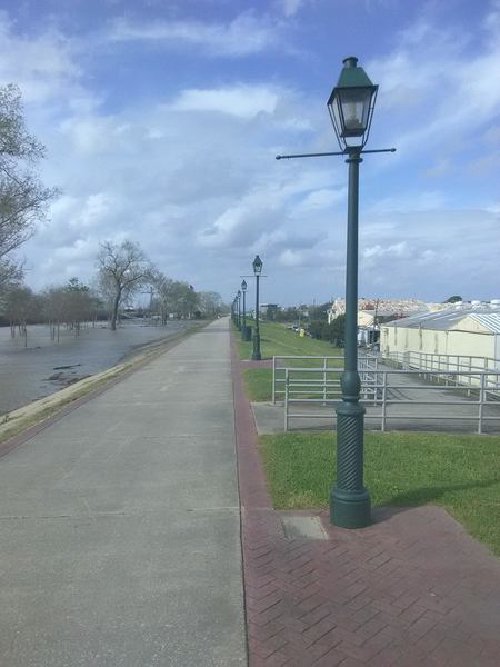 Looking toward Algiers Point