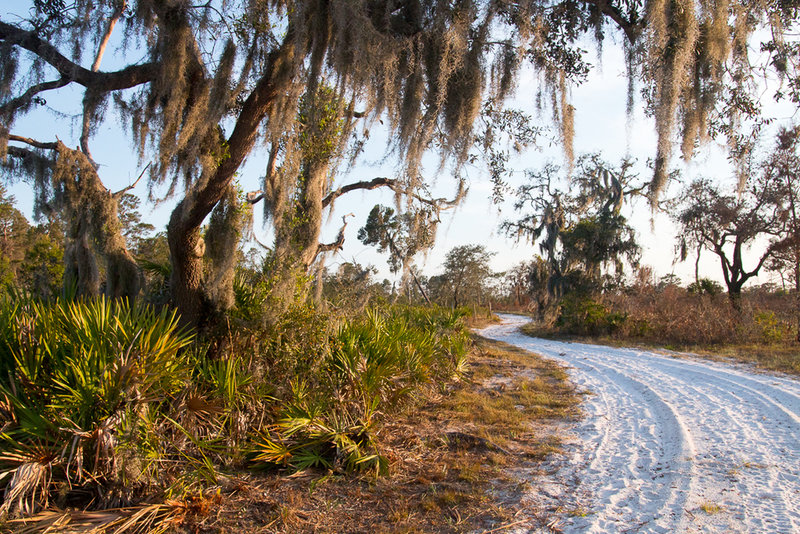 Sugar sand is thickest along the western portion of the trail.