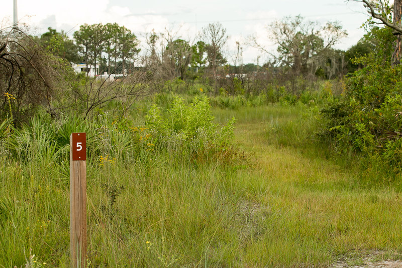 The trail is clearly marked, with sign posts indicating turns and intersections.