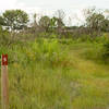 The trail is clearly marked, with sign posts indicating turns and intersections.