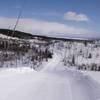 Chaulk's Run. To the left across Chaulk's Brook there is a marked ski / snowshoe / hiking path in a beautiful mature forest for off trail adventures!