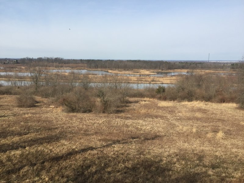 View of wetlands from Bobolink Grassland Trail Overlook
