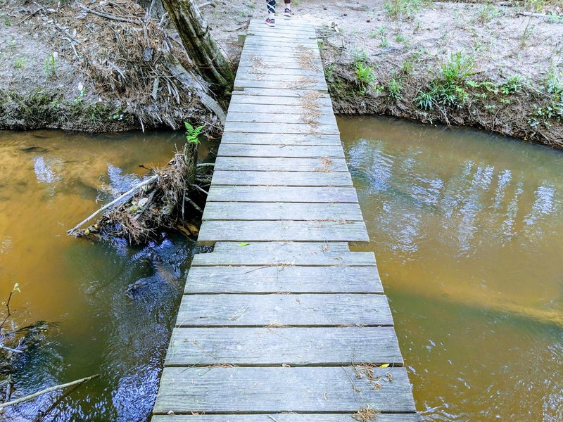 Trail Bridge over Big Creek