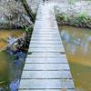 Trail Bridge over Big Creek