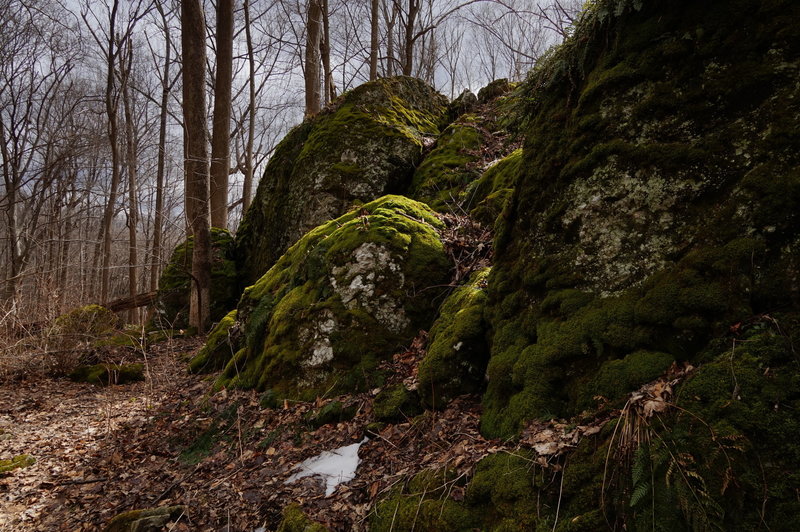 Mossy rocks west of Ghost Lake (location on map is approximate).