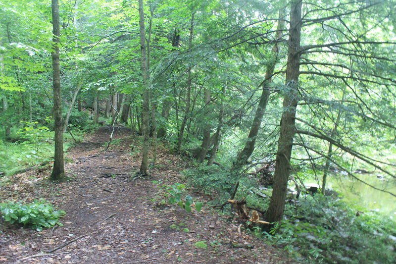 Salmon River Trail