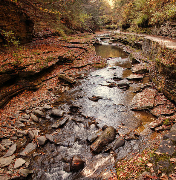 Upper Gorge Trail, Watkins Glen, NY