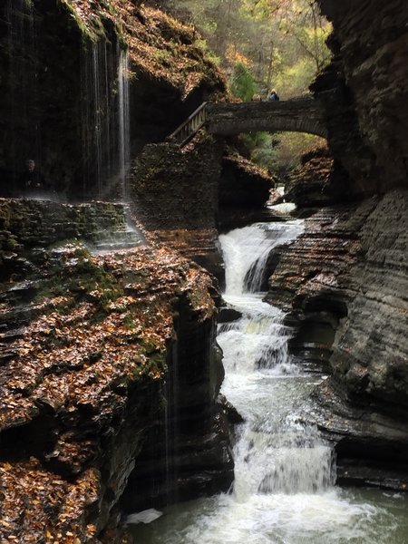 Gorge Trail