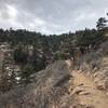 Approaching the Horsetooth Falls