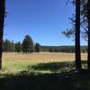 Nice meadow from trail along the edge of the forest. There was an antelope grazing there, just a tiny spot in this wide view.