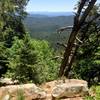 Mogollon Rim View