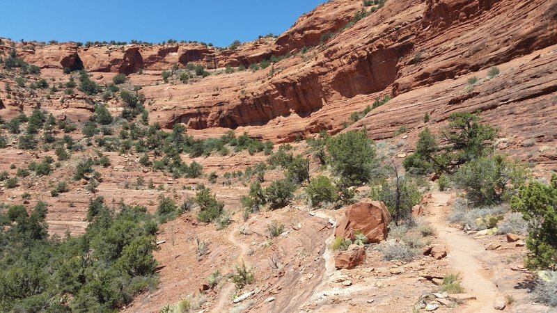 The rim on Mescal loop is incredibly beautiful! The views from the rim are equally as amazing. Fun ride and beautiful scenery.